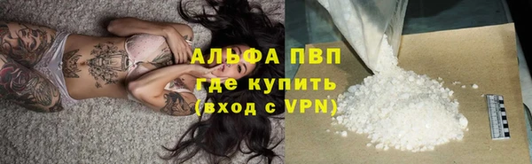 соль ск Новодвинск