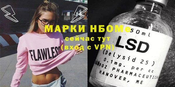 прущий лед Алзамай