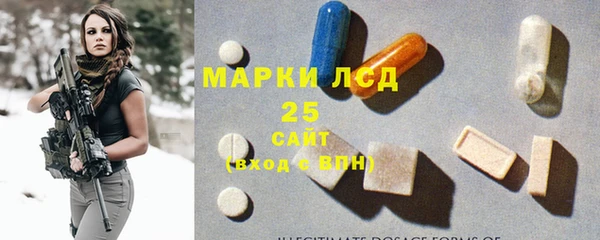 прущий лед Алзамай